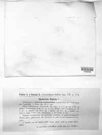 Image Associated With the Occurence